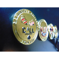 Premium metal poker card protector with ‘Call’ and ‘Raise’ art on each side. Ideal for poker players who want to secure their cards with a stylish and functional accessory. Must-have for serious card sharks