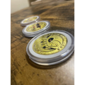 Premium metal poker card protector with ‘Raise’ and ‘ALL IN’ art on each side. Perfect poker accessory to protect your cards while adding style to your poker gameplay. A must-have for serious poker players.