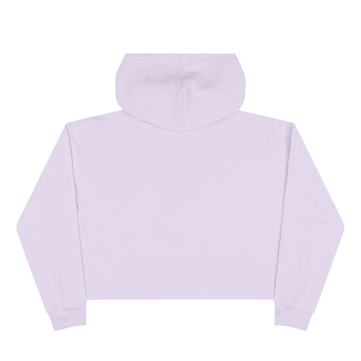 The Rake Crop Hoodie - Hoodie